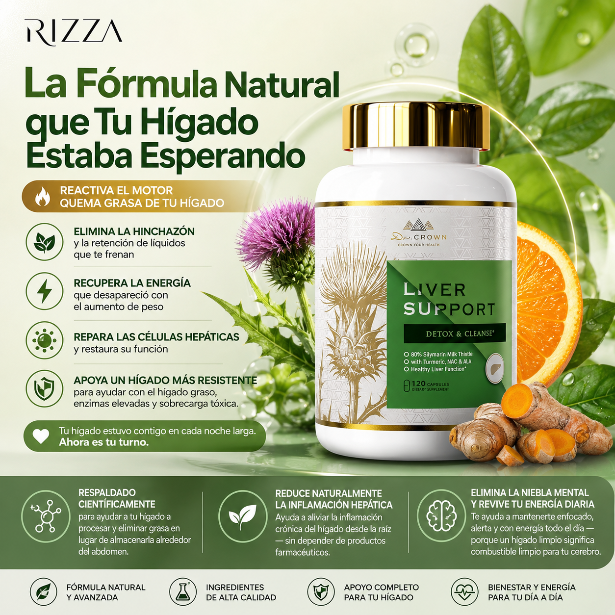 La Fórmula Natural que Tu Hígado Estaba Esperando - LIVER SUPPORT