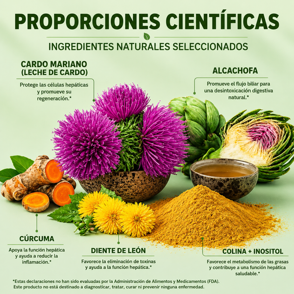 Desintoxicación Natural del Hígado