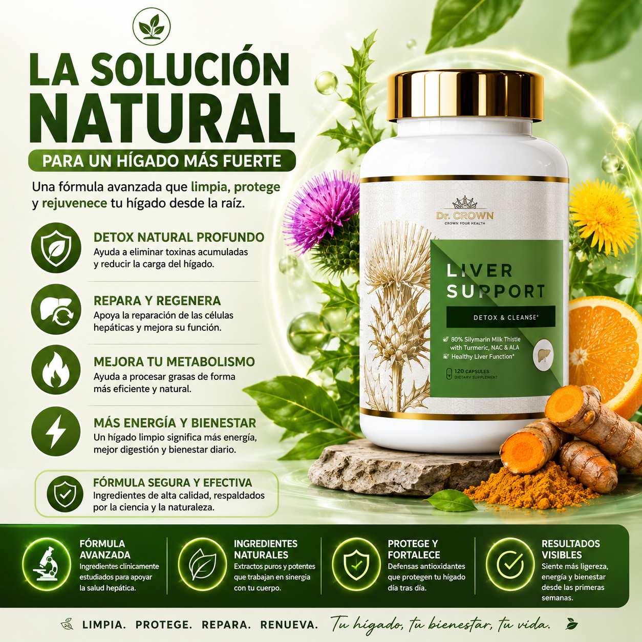 La Fórmula Natural que Tu Hígado Estaba Esperando - LIVER SUPPORT