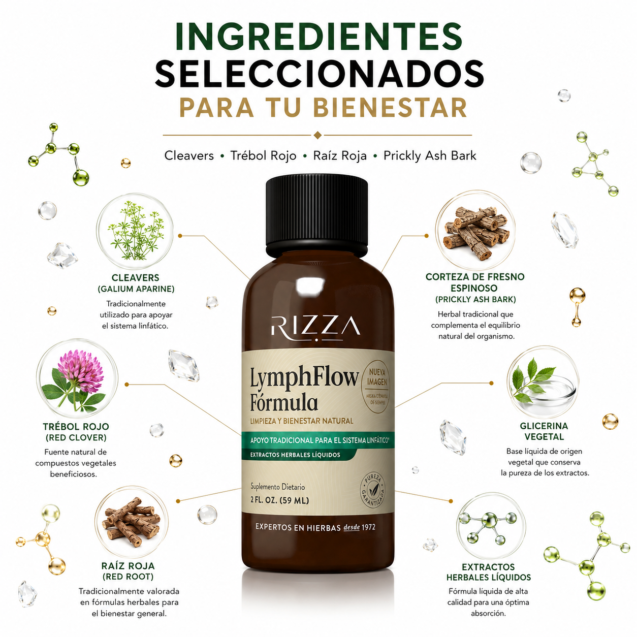 LymphFlow Fórmula | Complejo Herbal para el Sistema Linfático | 59 ml (2 fl oz)
