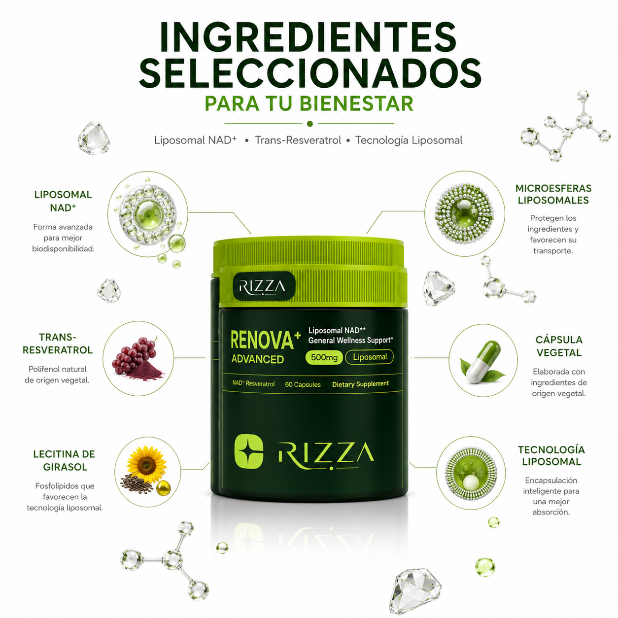 Renova+ Advanced | NAD+ Liposomal 500 mg con Resveratrol | 60 Cápsulas